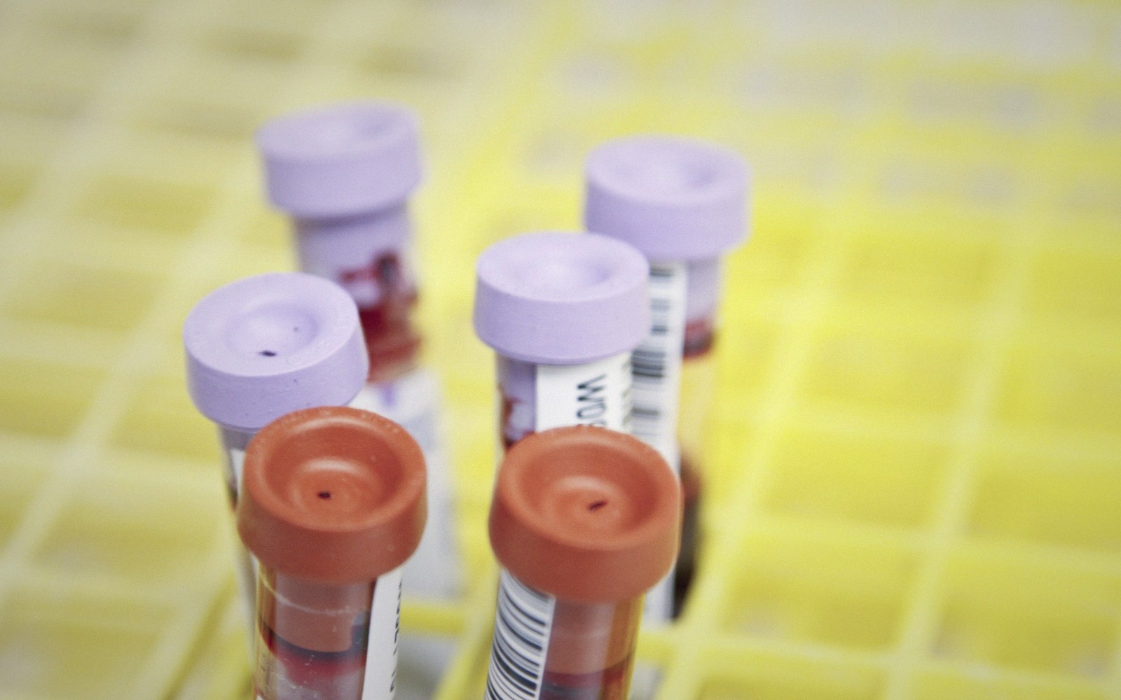 How Blood Alcohol Concentration Actually Works